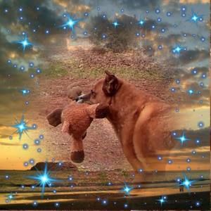 Meet your Posher, Liz